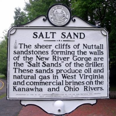 Salt Sand Marker image. Click for full size.