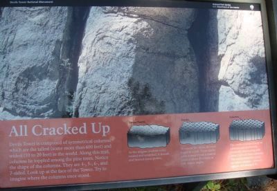 Related Marker on Tower Trail at Devils Tower image. Click for full size.