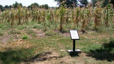 Check that Cornfield Marker image. Click for full size.