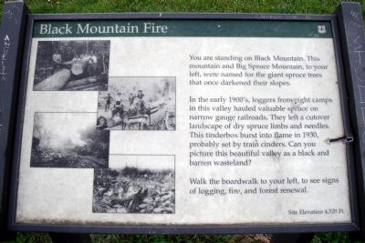 Black Mountain Fire Marker image. Click for full size.