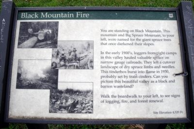 Black Mountain Fire Marker. Click for full size. Black Mountain Fire Marker image. Click for full size.