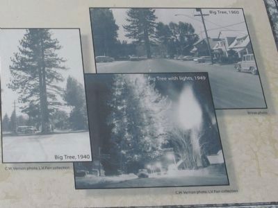 Photos Displayed on Marker image. Click for full size.