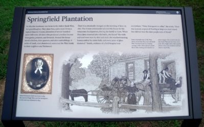 Springfield Plantation Marker image. Click for full size.