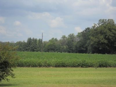 Site of the Cole Farmhouse image. Click for full size.