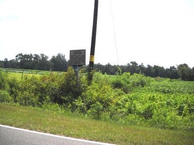 Federal Junction Marker on Harper House Road image. Click for full size.