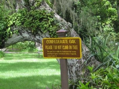 Confederate Oak Marker image. Click for full size.