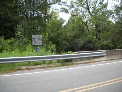 Marker on Devil's Racetrack Road. Click for full size. Marker on Devil's Racetrack Road image. Click for full size.