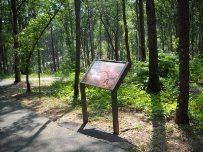 Major Ferguson Falls Marker. Click for full size. Major Ferguson Falls Marker image. Click for full size.