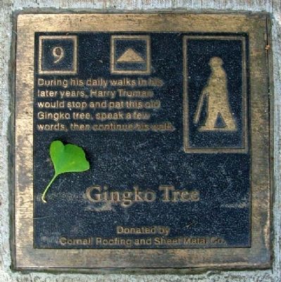 Gingko Tree Marker image. Click for full size.