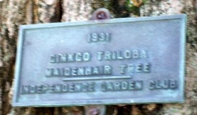 Additional plaque on the tree image. Click for full size.