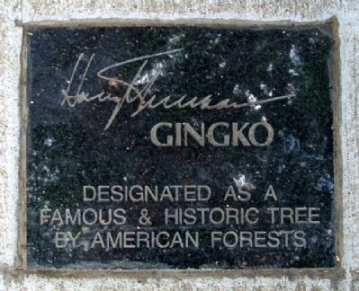 Additional plaque in the sidewalk near the tree image. Click for full size.