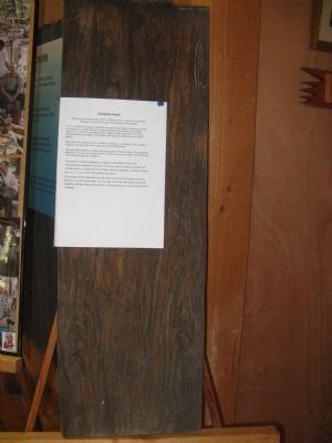 Camphor Wood From the Courthouse in Double Springs. Click for full size. Camphor Wood From the Courthouse in Double Springs image. Click for full size.