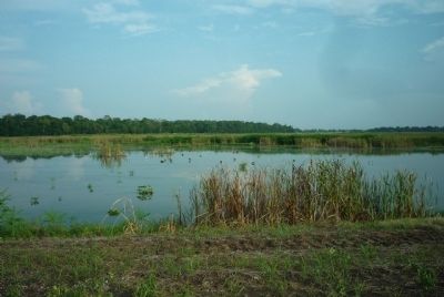Wetland off farm road near the Battle of Milliken's Bend Marker. Click for full size. Wetland off farm road near the Battle of Milliken's Bend Marker image. Click for full size.