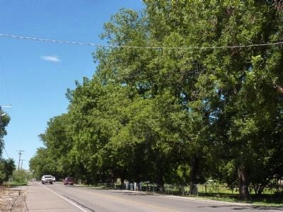 Pecan Lane Rural Historic Landscape. Click for full size. Pecan Lane Rural Historic Landscape image. Click for full size.