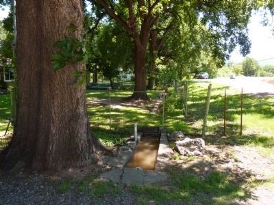 Pecan Lane Rural Historic Landscape. Click for full size. Pecan Lane Rural Historic Landscape image. Click for full size.
