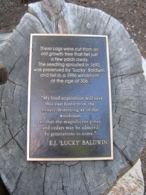 Plaque Located to the Right of “Tahoe Heritage Foundation” Log image. Click for full size.