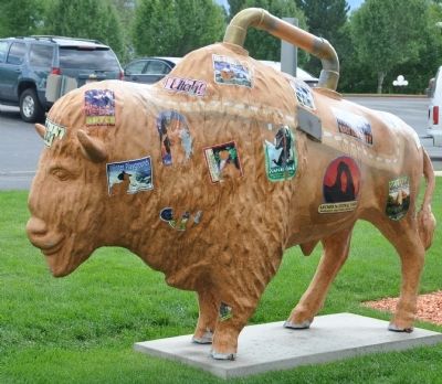 The "Suitcase" Bison image. Click for full size.