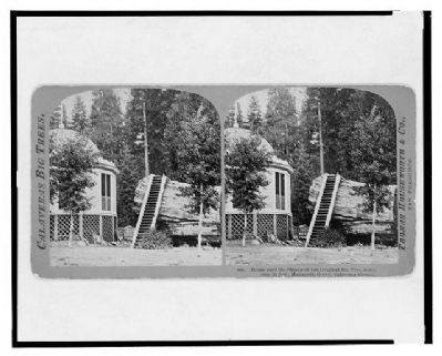 Building on the Stump image. Click for full size.