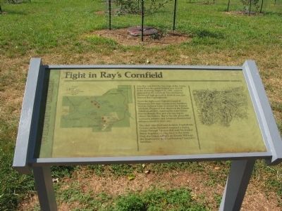Fight in Ray's Cornfield Marker image. Click for full size.