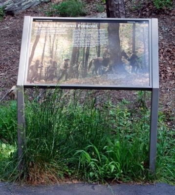 Fighting in a Forest Primeval Marker image. Click for full size.