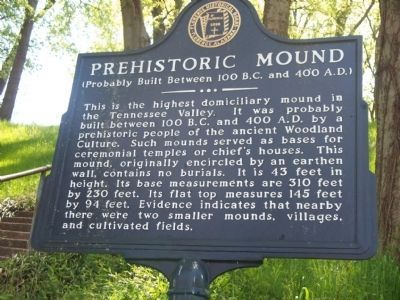 Prehistoric Mound Marker image. Click for full size.