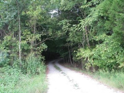 Old road into the forest. Click for full size. Old road into the forest image. Click for full size.