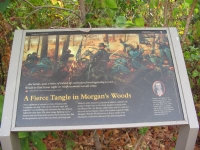 A Fierce Tangle in Morgan's Woods Marker. Click for full size. A Fierce Tangle in Morgan's Woods Marker image. Click for full size.