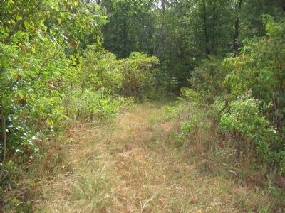 Trail into Morgan's Woods. Click for full size. Trail into Morgan's Woods image. Click for full size.