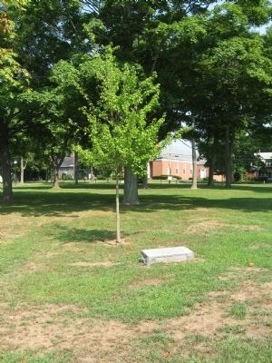 Site of the Theodore Roosevelt Oak Marker image. Click for full size.