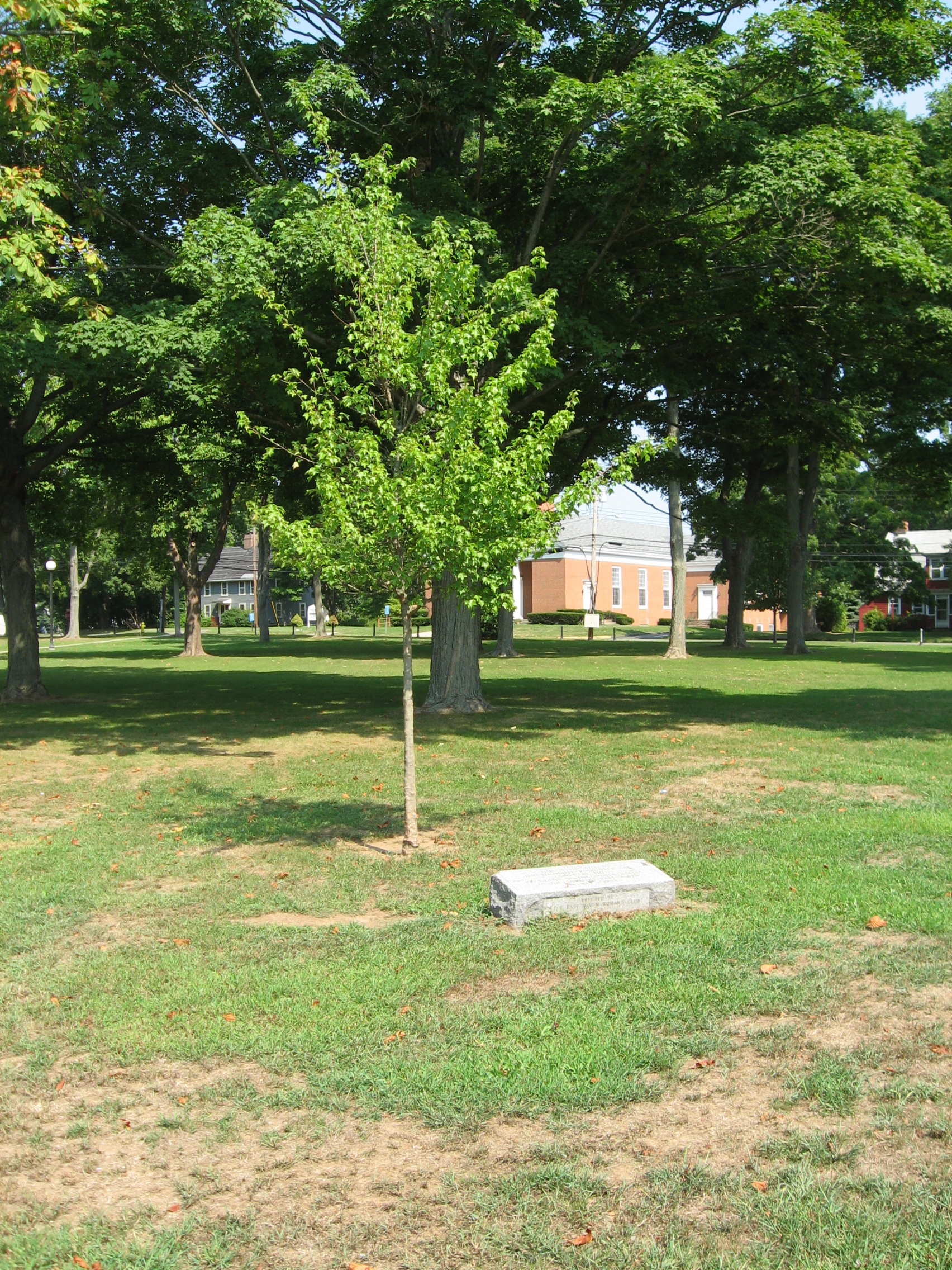Site of the Theodore Roosevelt Oak Marker
