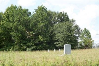 Battle of Dingles Mill Confederate and Union (distant) Marker image. Click for full size.