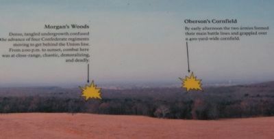 Notations for Morgan's Woods and Oberson's Fields image. Click for full size.