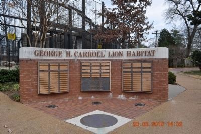 George H. Carroll Lion Habitat image. Click for full size.