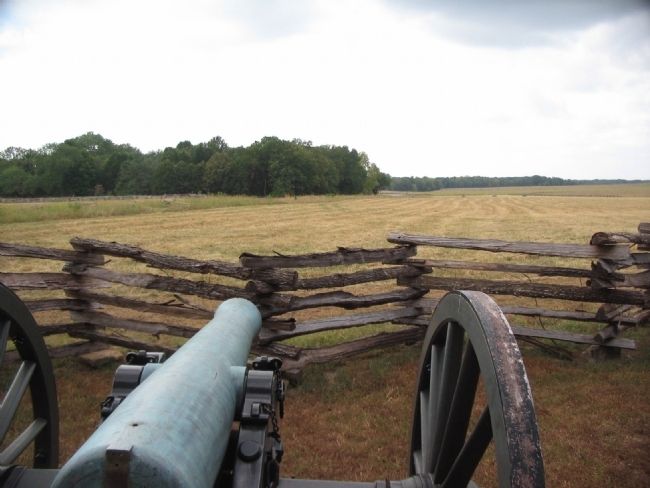 Confederate Gunner's View image. Click for full size.