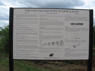 The Oyster Industry in New Haven Marker image. Click for full size.