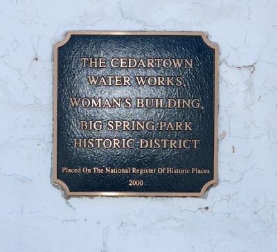 Cedartown Water Works image. Click for full size.