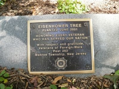 Eisenhower Tree Marker image. Click for full size.