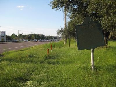 Bruce B. Downs Boulevard Marker image. Click for full size.