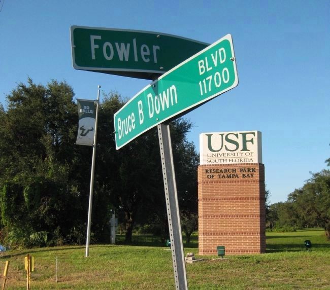 Fowler Ave. and Bruce B. Downs Blvd. image. Click for full size.