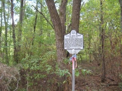 Springfield Marker. Click for full size. Springfield Marker image. Click for full size.