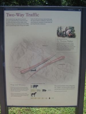 Two-Way Traffic Marker image. Click for full size.
