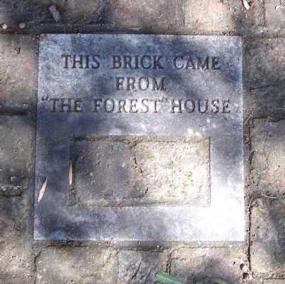This brick came from "The Forest" house image. Click for full size.