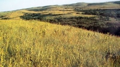 Konza Prairie Photo on Marker image. Click for full size.