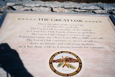 The Great Oak Marker image. Click for full size.