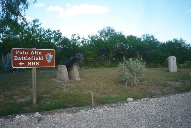 The Battle of Palo Alto Marker image. Click for full size.
