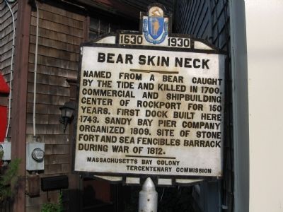 Bear Skin Neck Marker image. Click for full size.