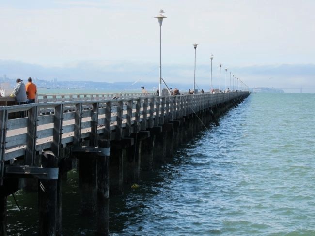 Berkeley Municipal Pier - Looking West from the Foot of the Pier. image. Click for full size.