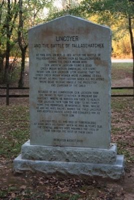 Lincoyer Marker Side A image. Click for full size.