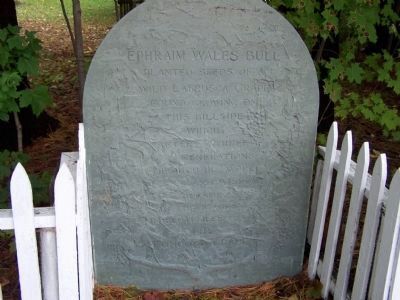 Ephraim Wales Bull Marker image. Click for full size.