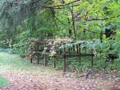 Original grapevine and arbor image. Click for full size.
